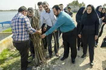 نهال‌کاری اعضای جهاد دانشگاهی در  بهار ۴۰ سالگی انقلاب